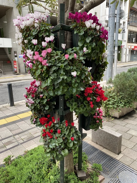 f:id:mimozaai:20210414212439j:plain