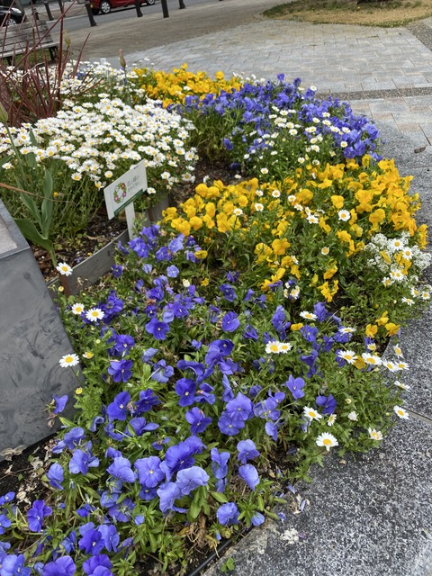 f:id:mimozaai:20210414212519j:plain