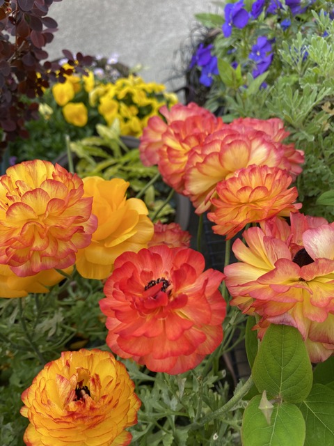 f:id:mimozaai:20210423195134j:plain