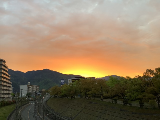 f:id:mimozaai:20210423195304j:plain