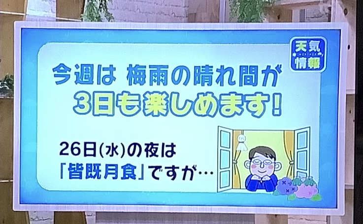 f:id:mimozaai:20210526211300j:plain