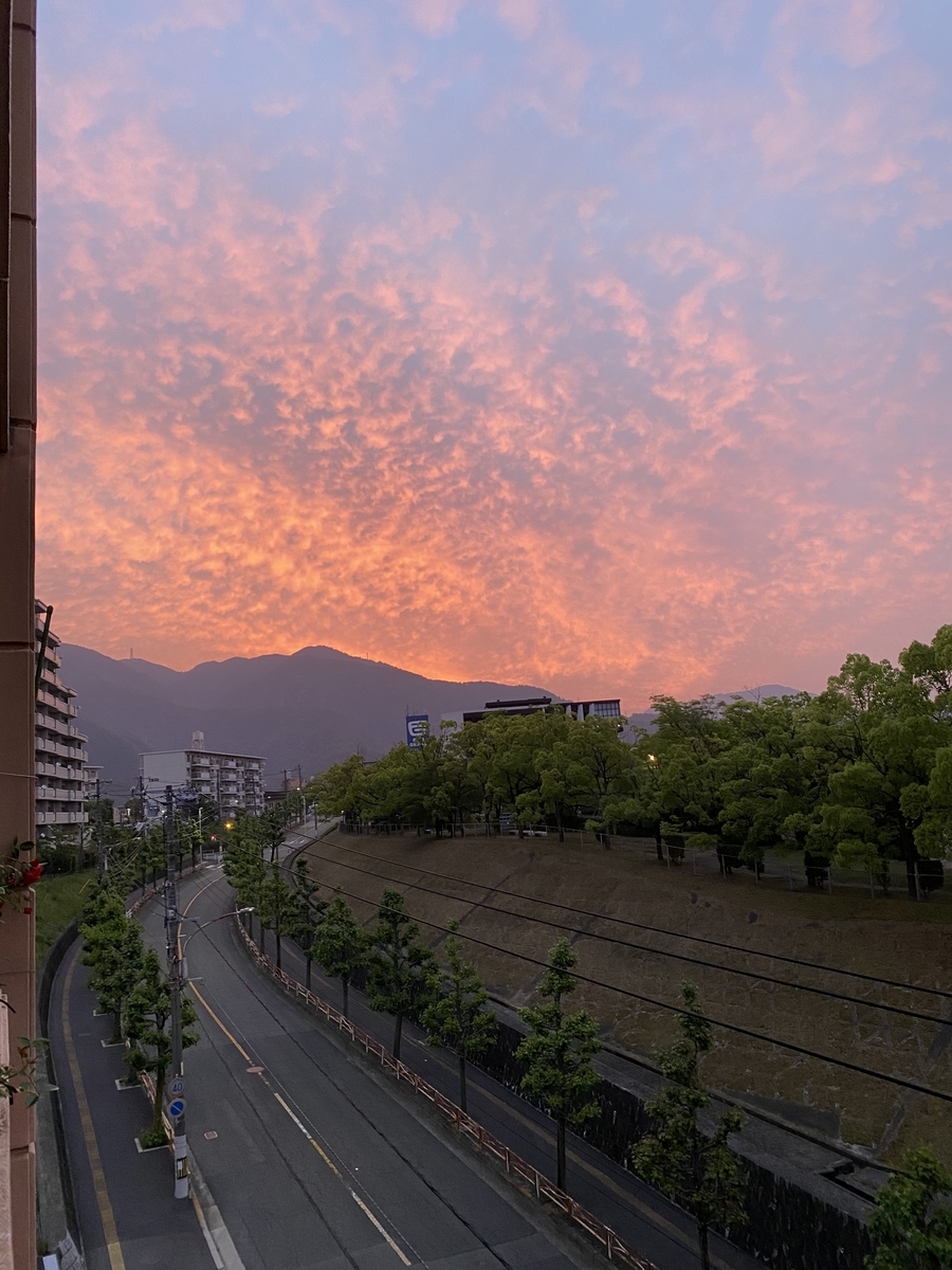 f:id:mimozaai:20210527203624j:plain