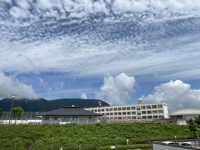 f:id:mimozaai:20210619205921j:plain