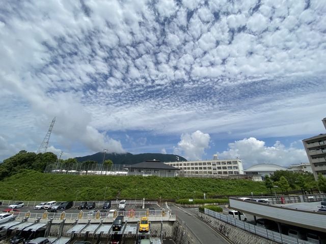 f:id:mimozaai:20210619205942j:plain