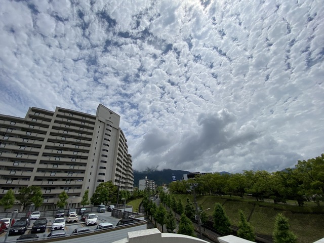 f:id:mimozaai:20210619205952j:plain