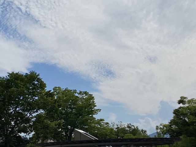 f:id:mimozaai:20210619210034j:plain