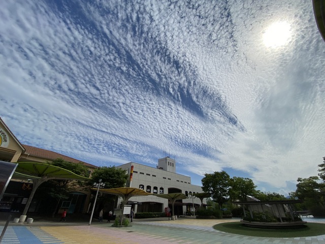 f:id:mimozaai:20210619210040j:plain