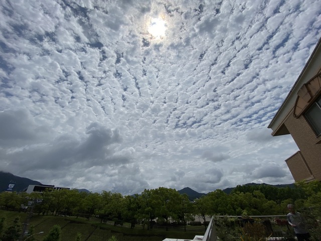 f:id:mimozaai:20210619210116j:plain