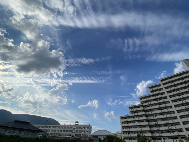 f:id:mimozaai:20210619210211j:plain