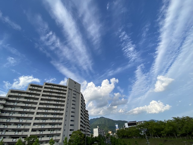 f:id:mimozaai:20210619210221j:plain