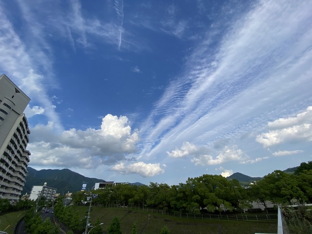 f:id:mimozaai:20210619210233j:plain