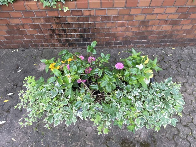 f:id:mimozaai:20210619211801j:plain