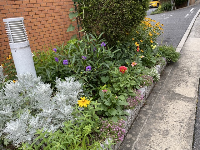 f:id:mimozaai:20210704202823j:plain