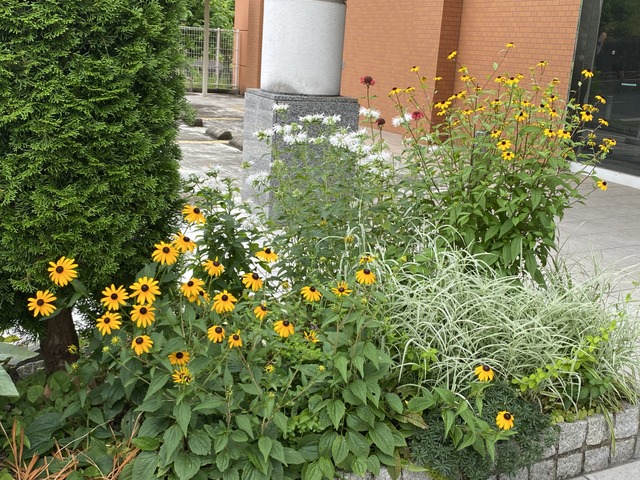 f:id:mimozaai:20210704202833j:plain