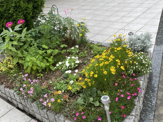 f:id:mimozaai:20210704202847j:plain