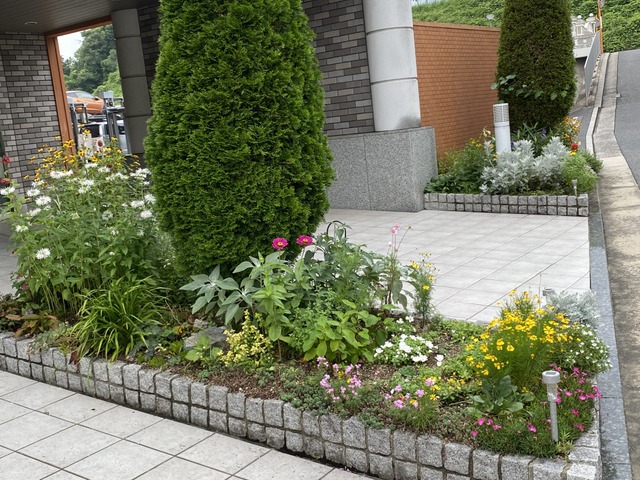 f:id:mimozaai:20210704202857j:plain