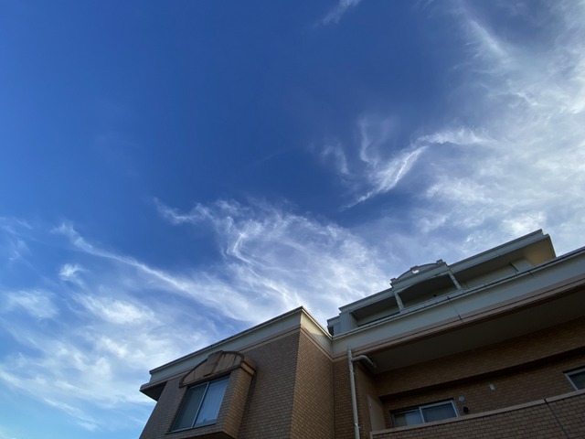 f:id:mimozaai:20210722210633j:plain