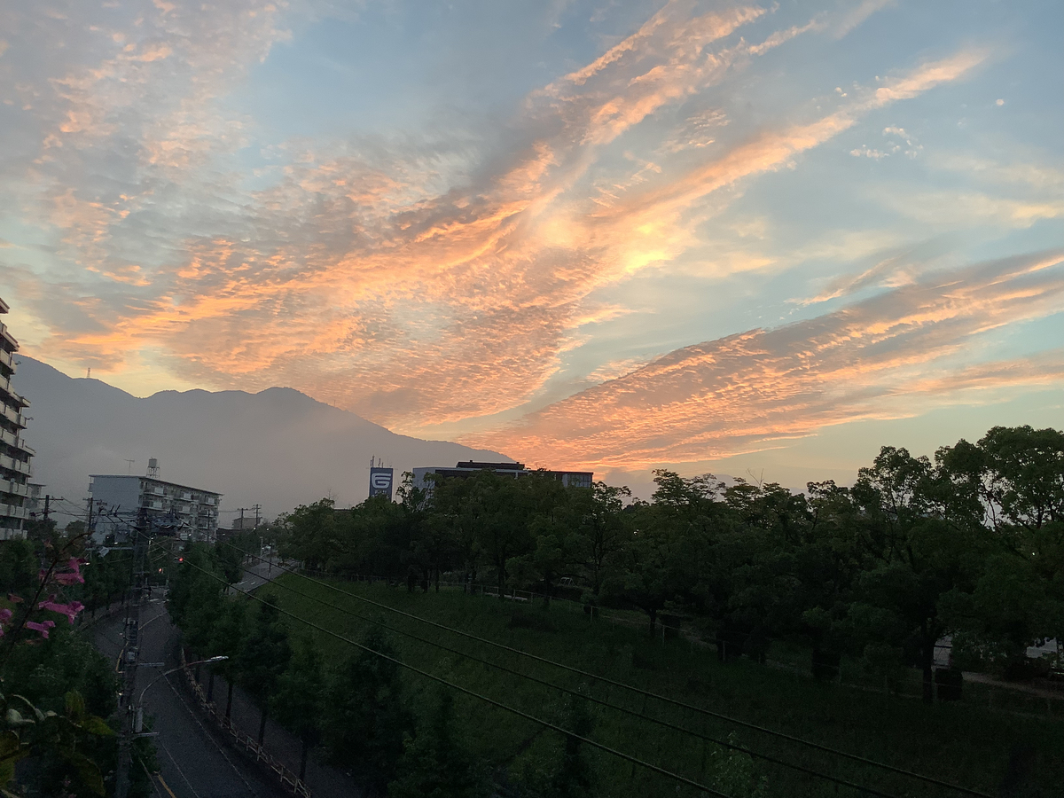 f:id:mimozaai:20210831205813j:plain