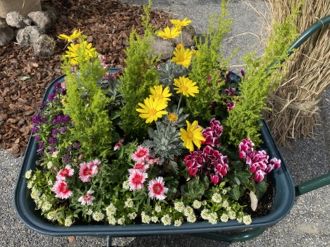 f:id:mimozaai:20211128191420j:plain