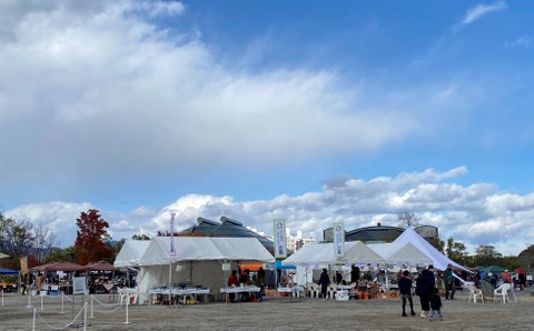 f:id:mimozaai:20211128191438j:plain