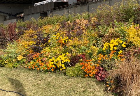 f:id:mimozaai:20211128191538j:plain