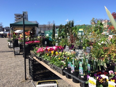 f:id:mimozaai:20211128191732j:plain