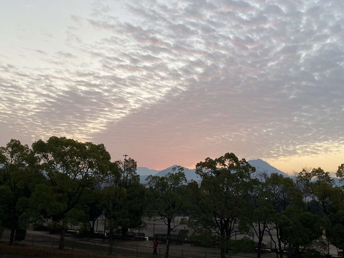 f:id:mimozaai:20211222204144j:plain