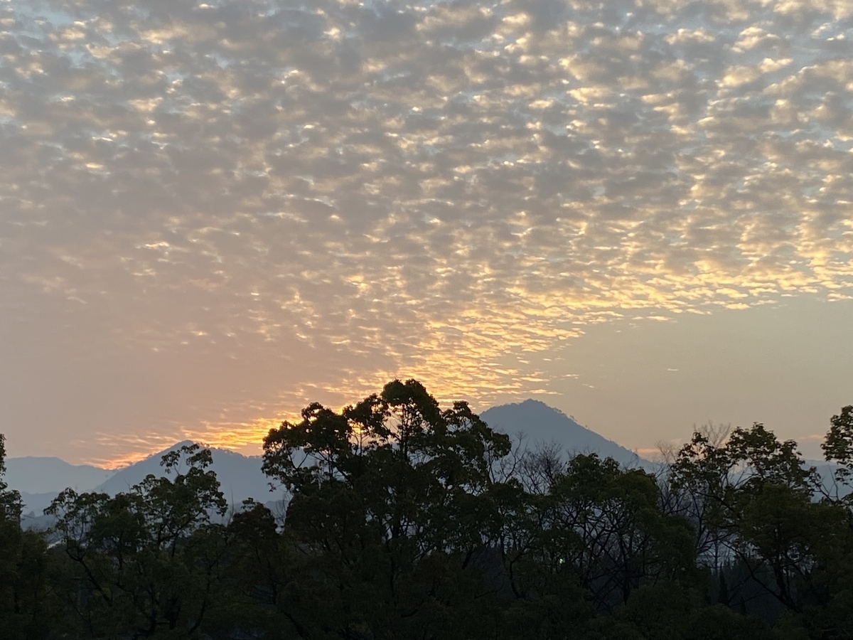 f:id:mimozaai:20211222204209j:plain