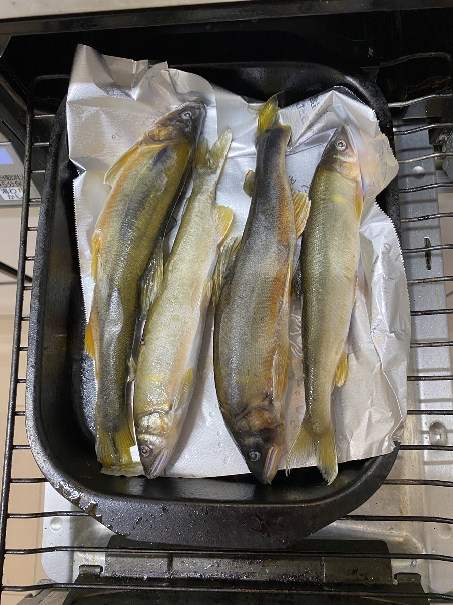 f:id:mimozaai:20211222204344j:plain