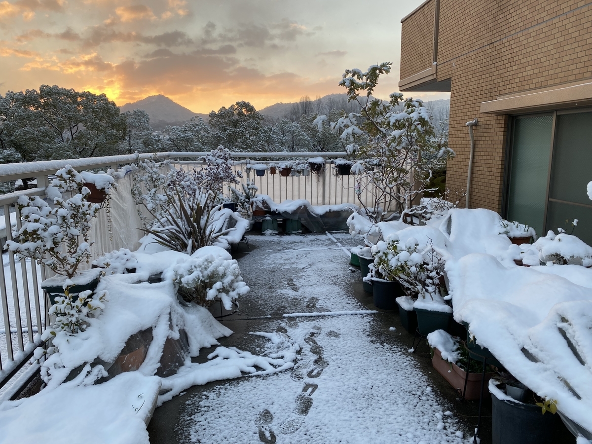 f:id:mimozaai:20211231031601j:plain