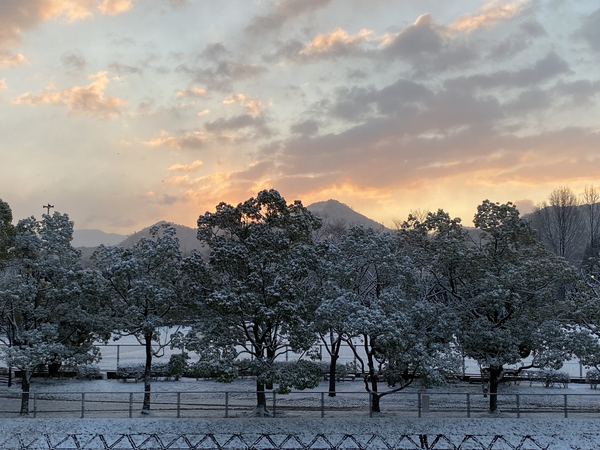 f:id:mimozaai:20211231031646j:plain