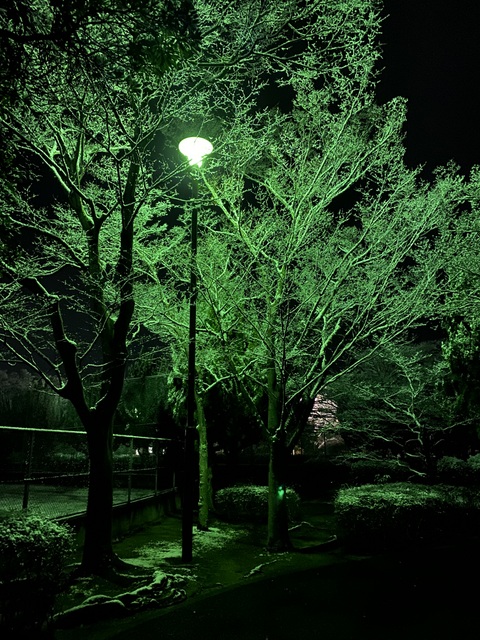 f:id:mimozaai:20220112150102j:plain