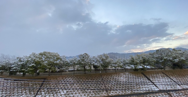 f:id:mimozaai:20220112150129j:plain