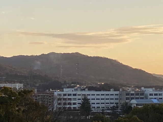 f:id:mimozaai:20220126201055j:plain