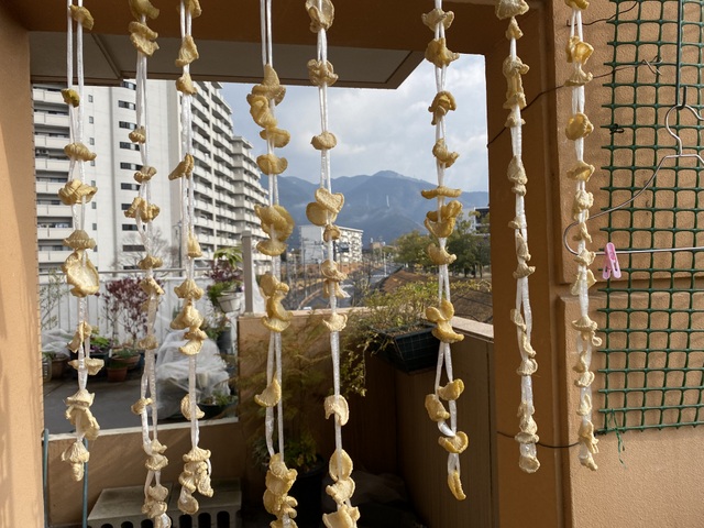 f:id:mimozaai:20220126201120j:plain