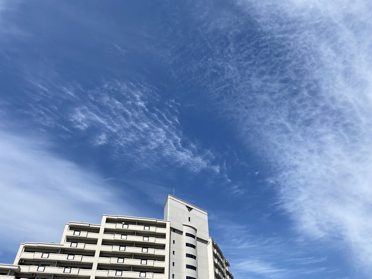 f:id:mimozaai:20220405194851j:plain