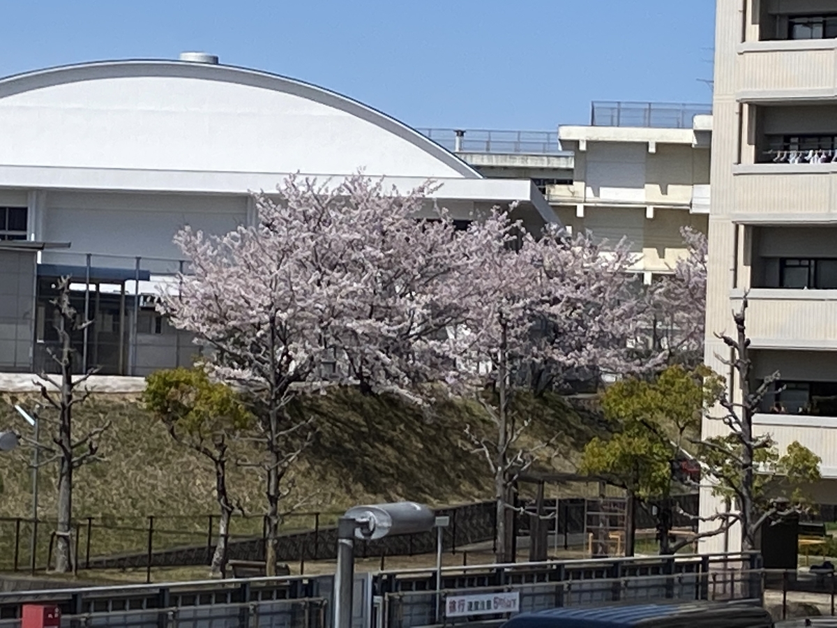 f:id:mimozaai:20220405195038j:plain