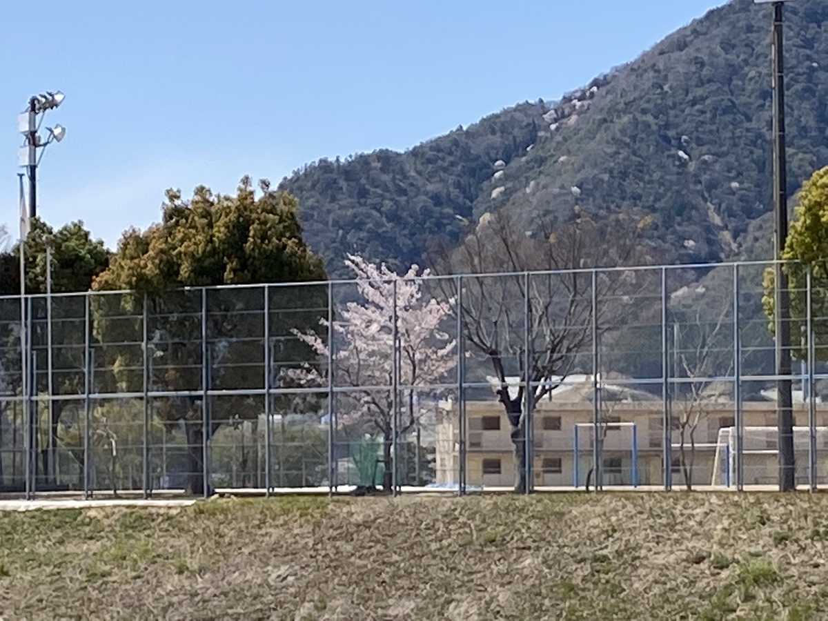 f:id:mimozaai:20220405195249j:plain