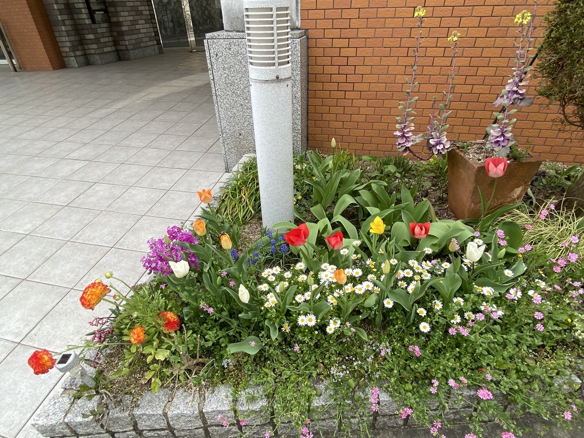 f:id:mimozaai:20220405195404j:plain