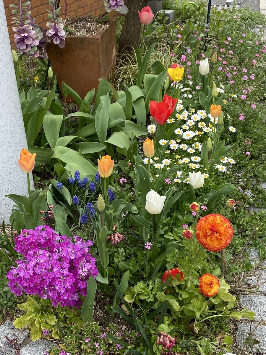 f:id:mimozaai:20220405195441j:plain