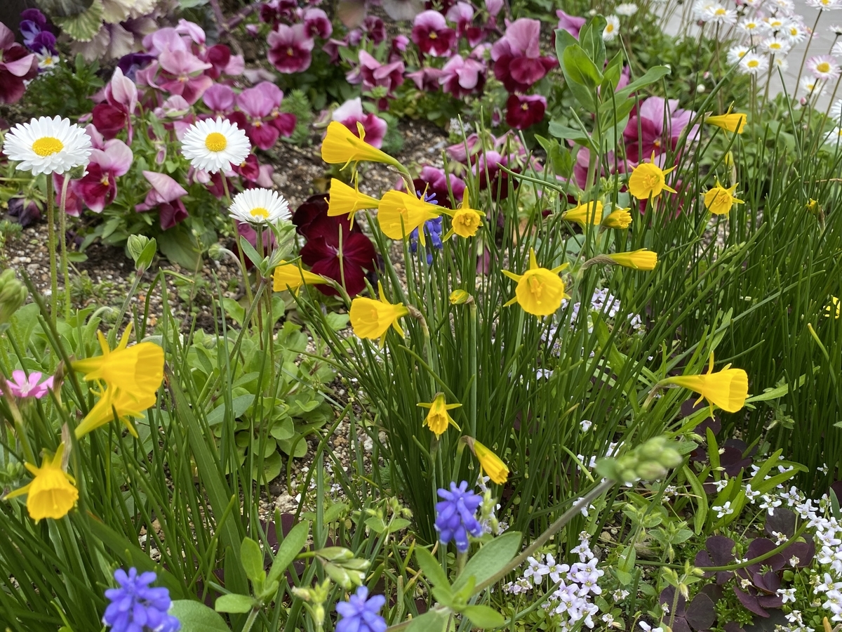 f:id:mimozaai:20220405195518j:plain