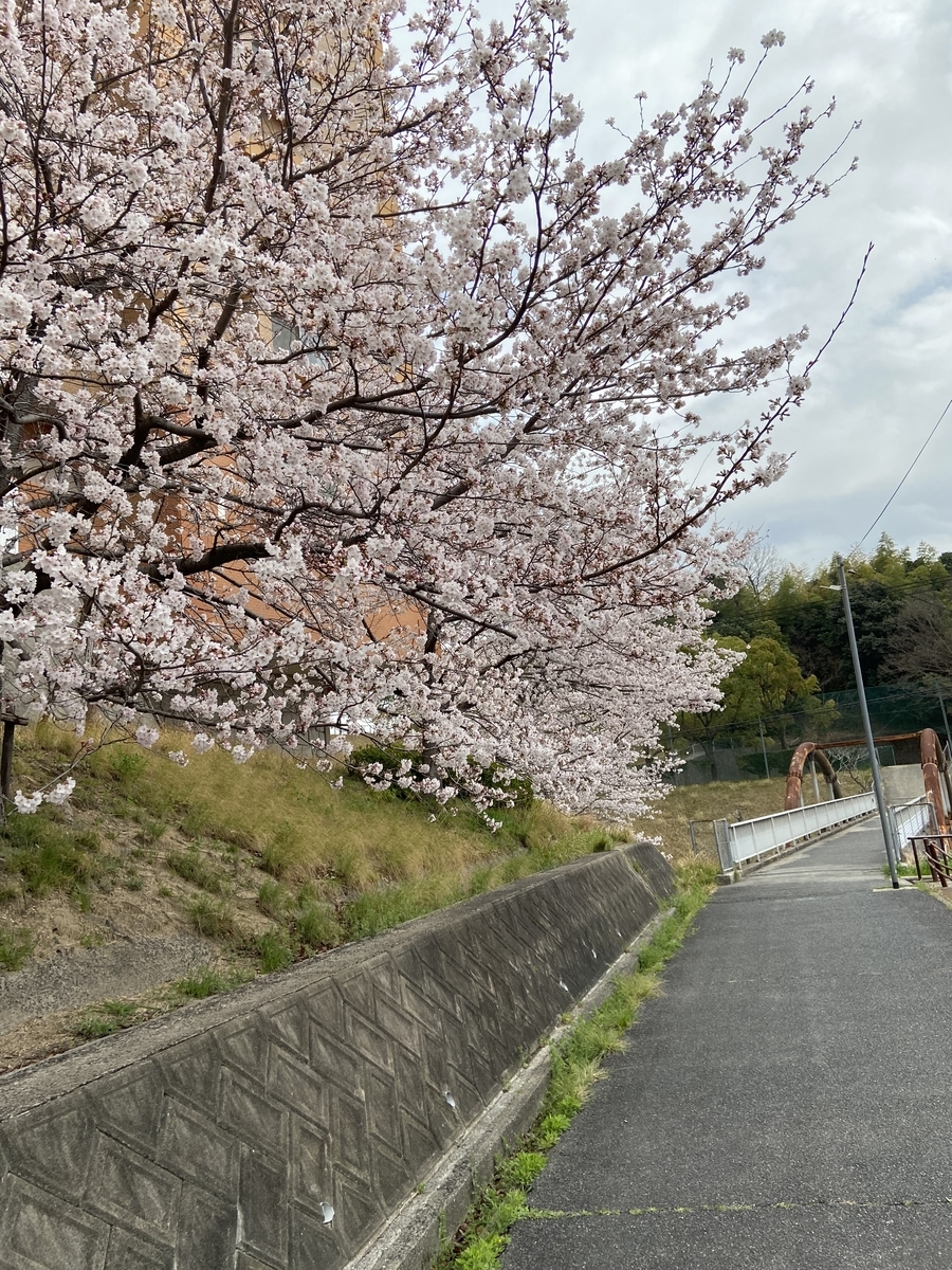 f:id:mimozaai:20220408195413j:plain