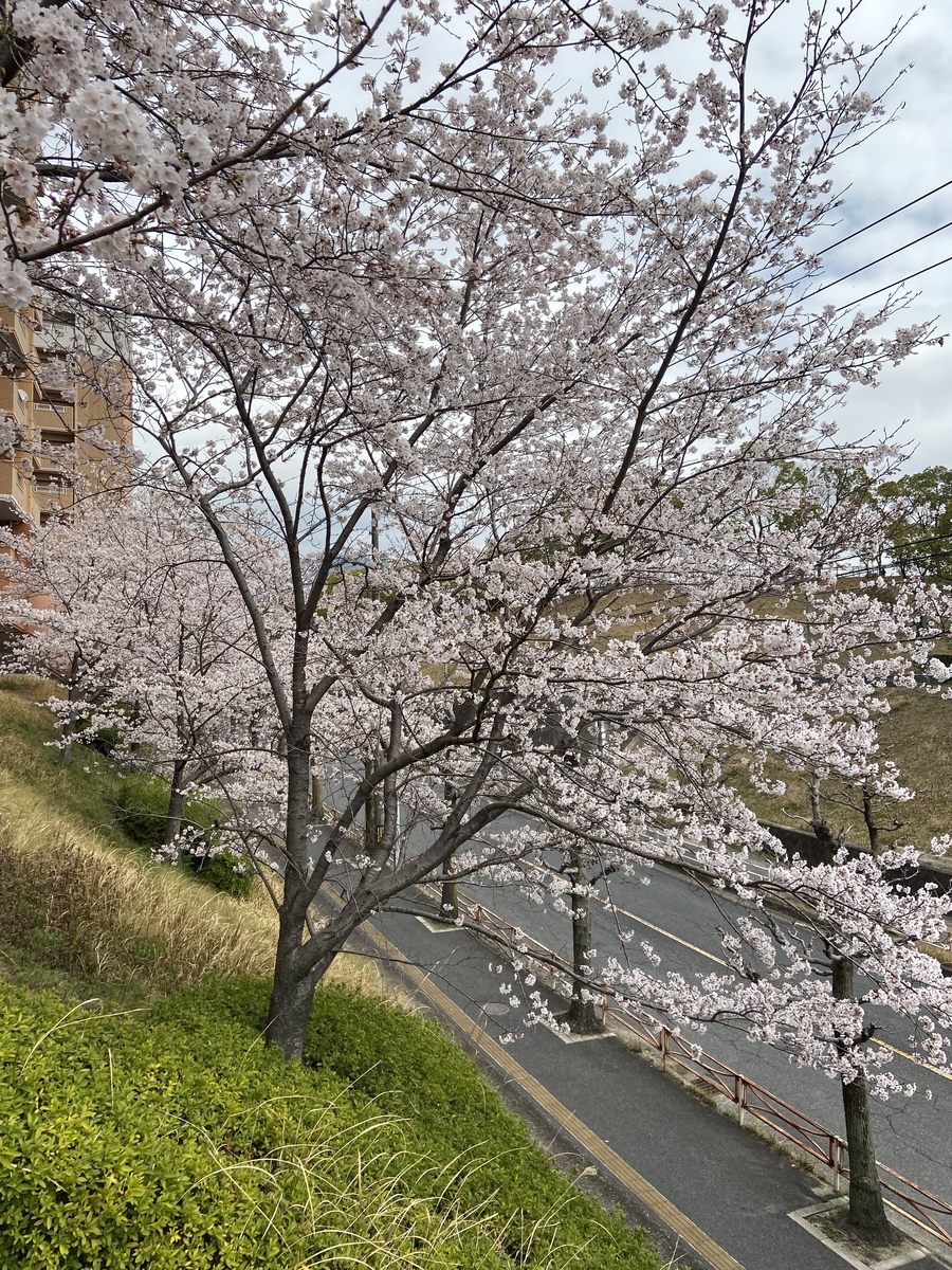 f:id:mimozaai:20220408195446j:plain