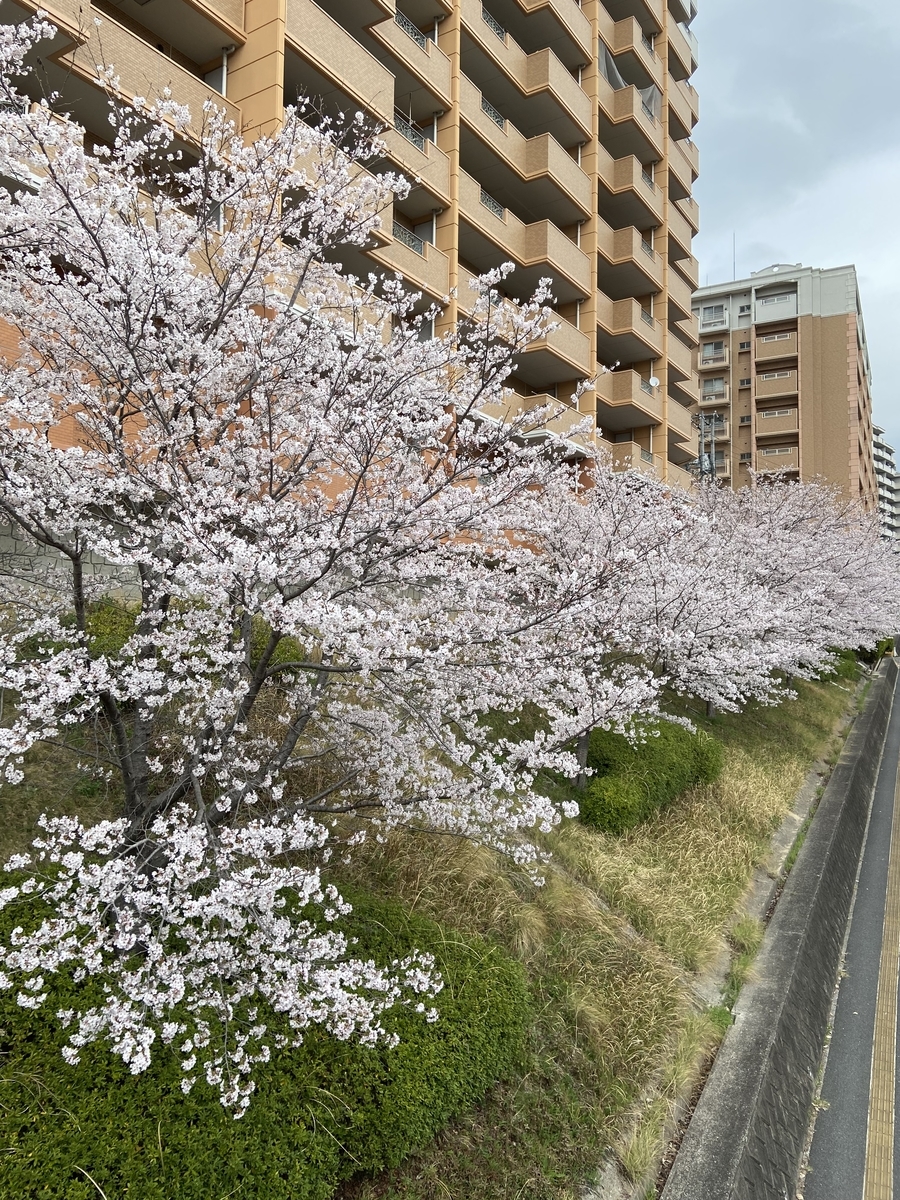 f:id:mimozaai:20220408195523j:plain