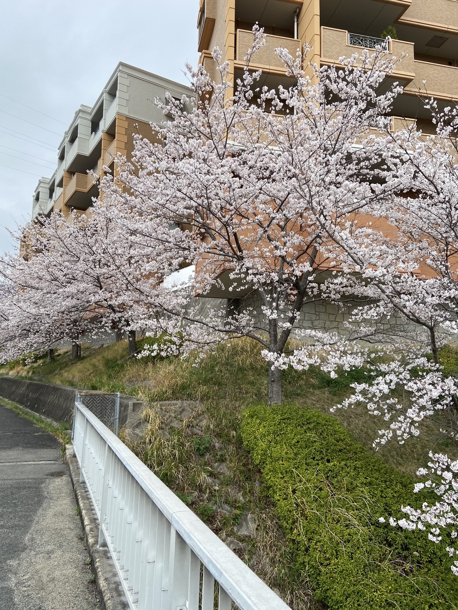 f:id:mimozaai:20220408195553j:plain