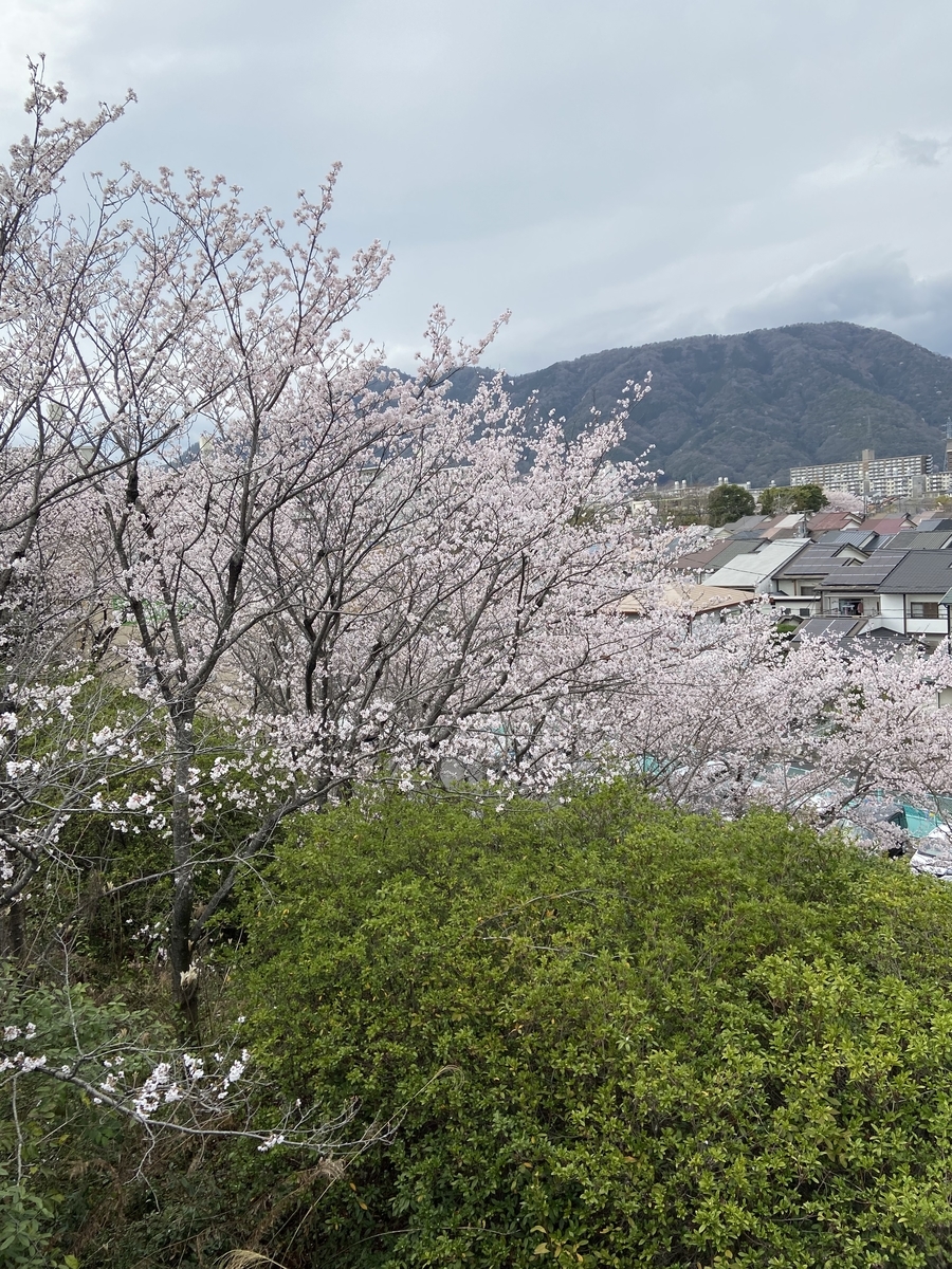 f:id:mimozaai:20220408195623j:plain