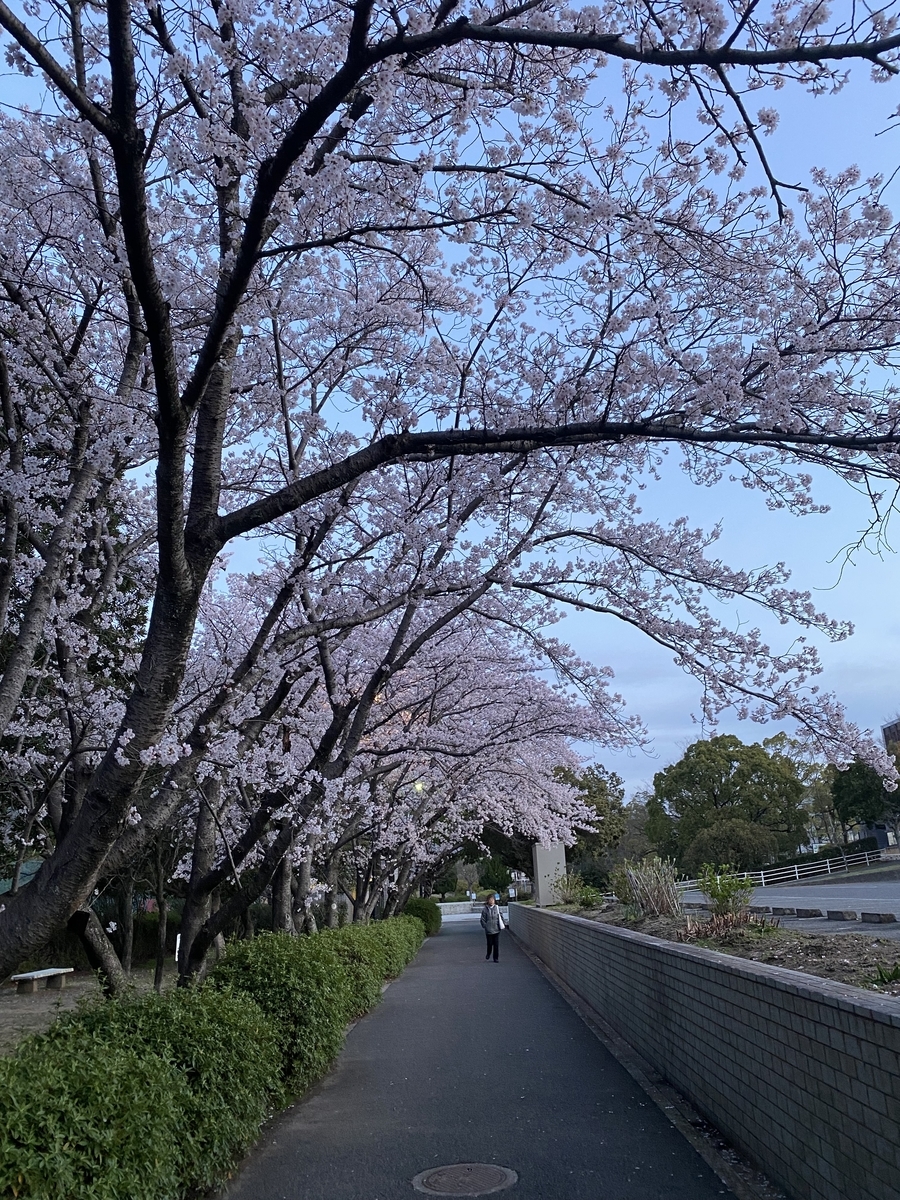 f:id:mimozaai:20220408203100j:plain