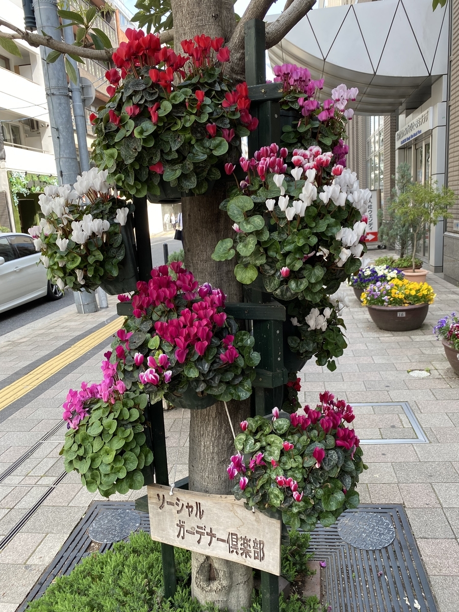 f:id:mimozaai:20220414202239j:plain