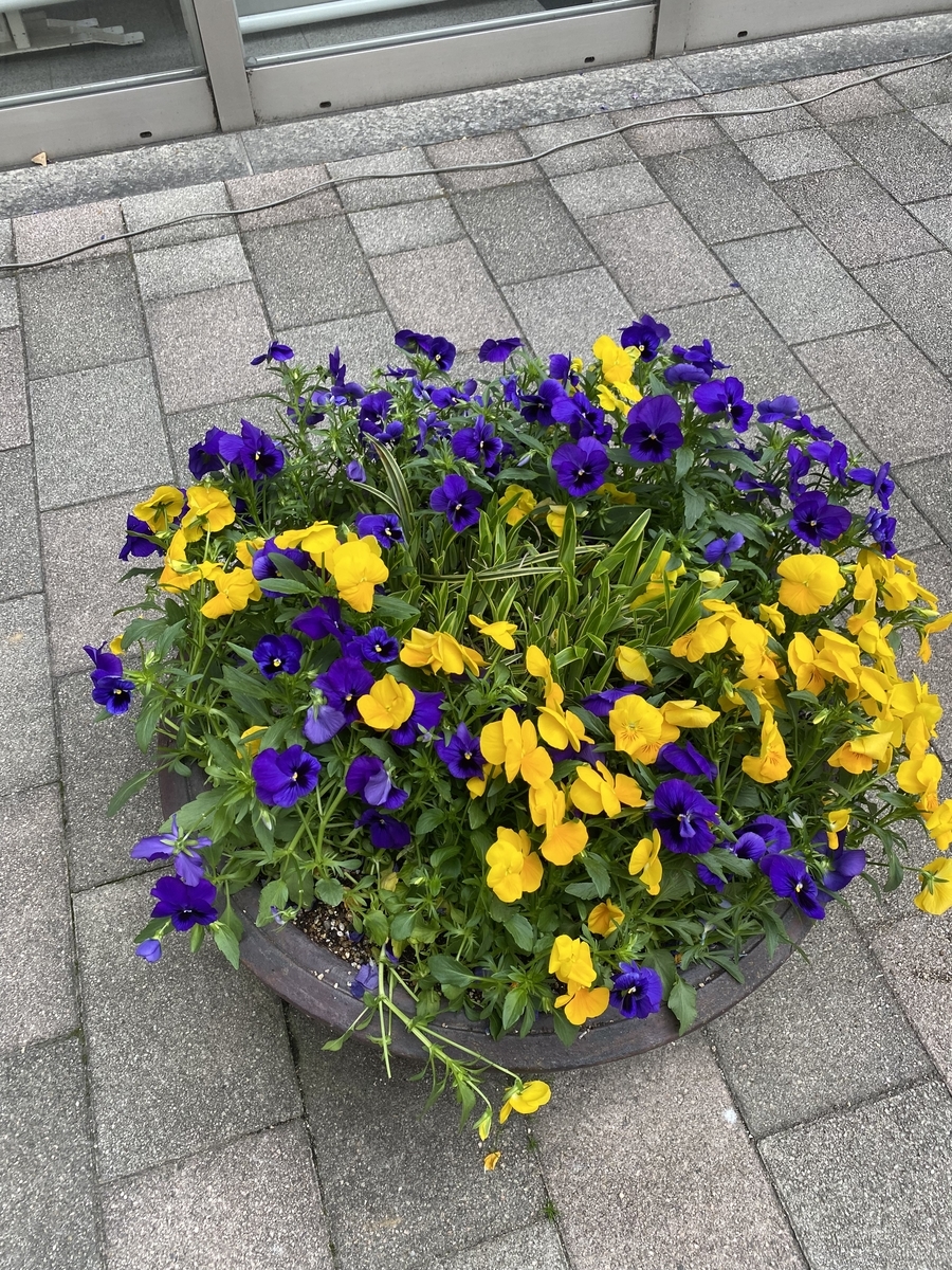 f:id:mimozaai:20220414202454j:plain