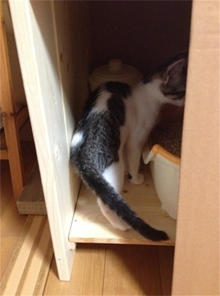 Top 11 猫 トイレ 隠す Diy Thư Viện Hỏi đap